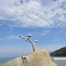 세파에 따르지 이미지