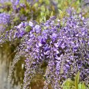 새들의 아침 이미지