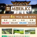 타니스테이 이미지