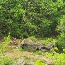 그리운 계곡 펜션 이미지