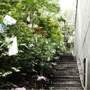 김음전웨딩 이미지