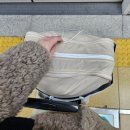 은이부엌 | 새해맞이 포항 방문🌅