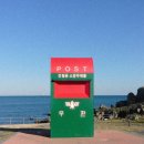 더베럴팜 | 혼자 울산 여행 1박 2일