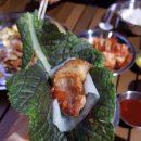 A&J오토캠핑장 이미지