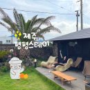 평평스테이 | [일상] 제주시 구좌읍 숙소추천 평평스테이 후기