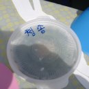우리홍삼사