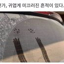 이듬해 이미지