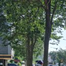 역골중앙로41번길 이미지