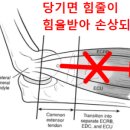 서울제일한방병원 이미지