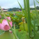 장성공인중개사사무소 이미지