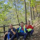 행정사이용재 이미지