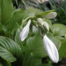 한울중학교 이미지