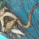 청풍호로 이미지