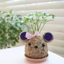 주전초교병설유치원 이미지