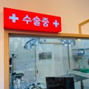 수원-1330 이미지