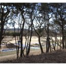 월성체육시설 이미지