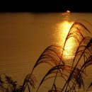 바람소리 이미지