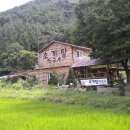 농월초계탕 이미지