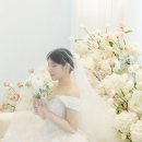 [studio 41] 대구 스튜디오41 본식스냅 수성호텔 아이비홀 후기