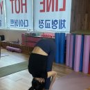 라인핫요가 - 고양시 덕양구 푸른마을로 6 | 라인핫요가 특강 후기