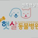 청북햇살 동물병원 이미지