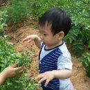 서율농장 이미지