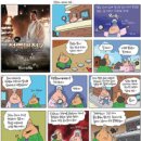 씨네21 주식회사