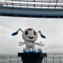 태풍조개구이 | [2025.September.24] 인생 조개구이를 월미도에서 만남_전라도 대왕조개구이 월미도 본점 후기