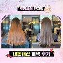 이삭 관저점 | 토리헤어 관저점 염색 내돈내산ㅡ다가오는 여름 기분전환할겸 예쁘게 염색한 솔직후기