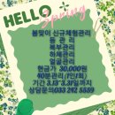 레아PC | 엑스날 춘천점에서 #레아쥬테라피 #미세전류테라피 1회 관리만으로도 몸이 달라지는 효과를 기대할 수...