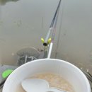 돌성저수지 이미지