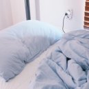 아삭아삭순무민박 이미지