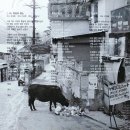 물밑목장 이미지