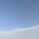 서울네스트 이미지