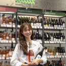 와인에 대한 모든 것 이미지