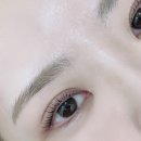 르네41 이미지