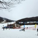 리틀짐 태권스쿨 | 곤지암리조트어린이스키강습 스키스쿨 강습비