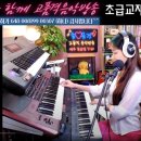 쏠전자올겐