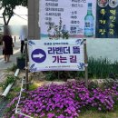 울산 2025 장생포 수국 축제 장생포 고래 문화마을 지도 주차장 음악회