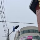 다춘초밥