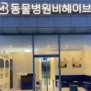 동물병원 비헤이브 네이버블로그