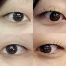 806 | [수원] 기분전환 겸 인계동 펌포인트연장 ‘멜루아’ 후기
