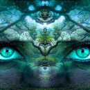 세광병원 이미지