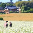 낭그늘 펜션 이미지