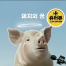 돼지의꿈
