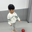 빛날태권도장 이미지