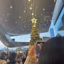 푸바오애견 | [크리스마스빌리지 2025 부산] 주말 저녁 방문 후기 (사진 많음 주의)