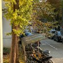 장땡세탁소 이미지