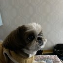 용머리민박 이미지