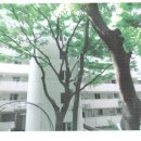 노원-상계-2014 이미지